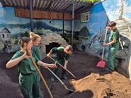Erdmännchen-Domizil im Stendaler Tiergarten von unseren Auszubildenden aufgewertet